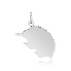 ECHIDNA (LRG) CHARM